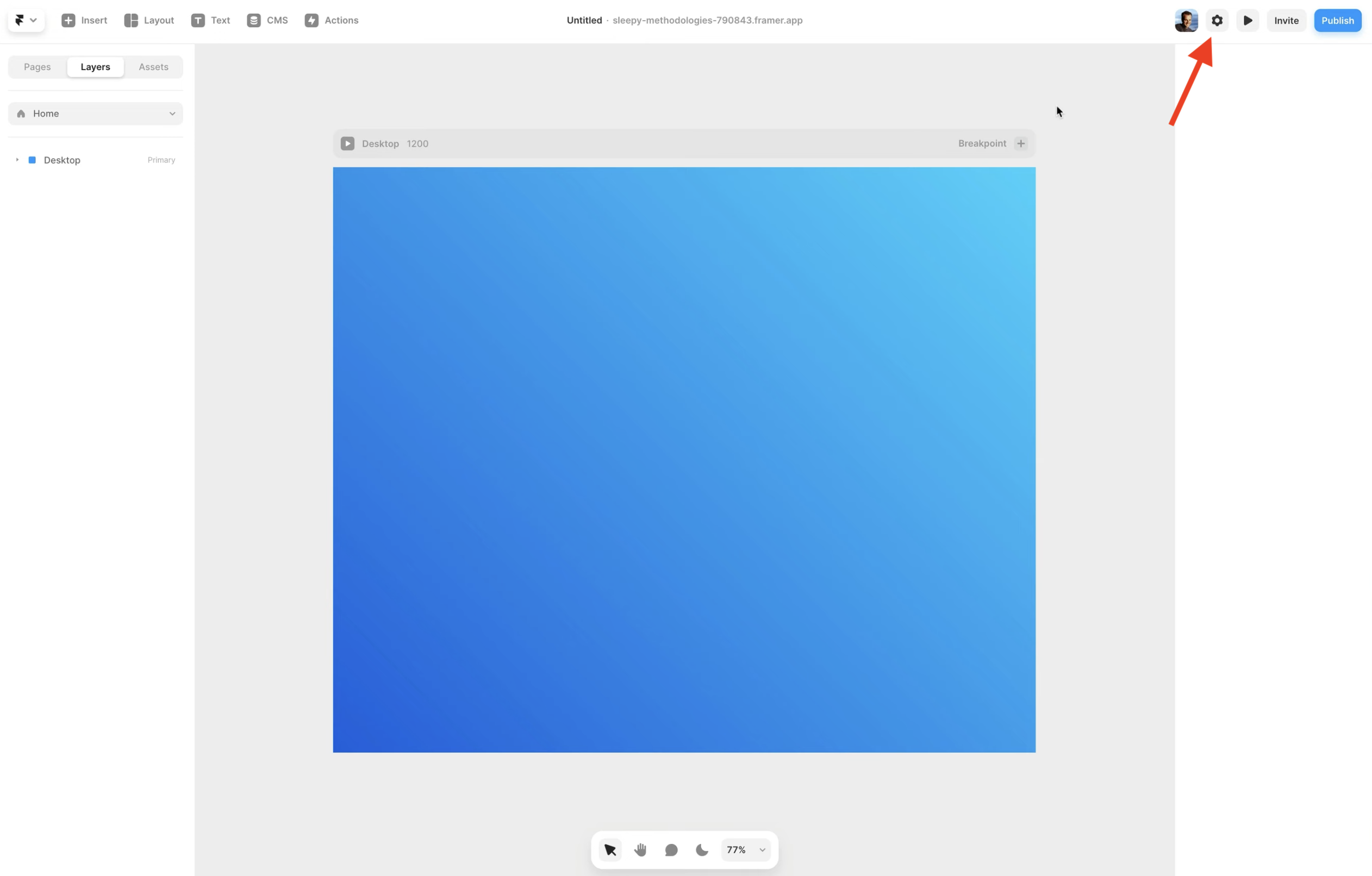 Framer settings